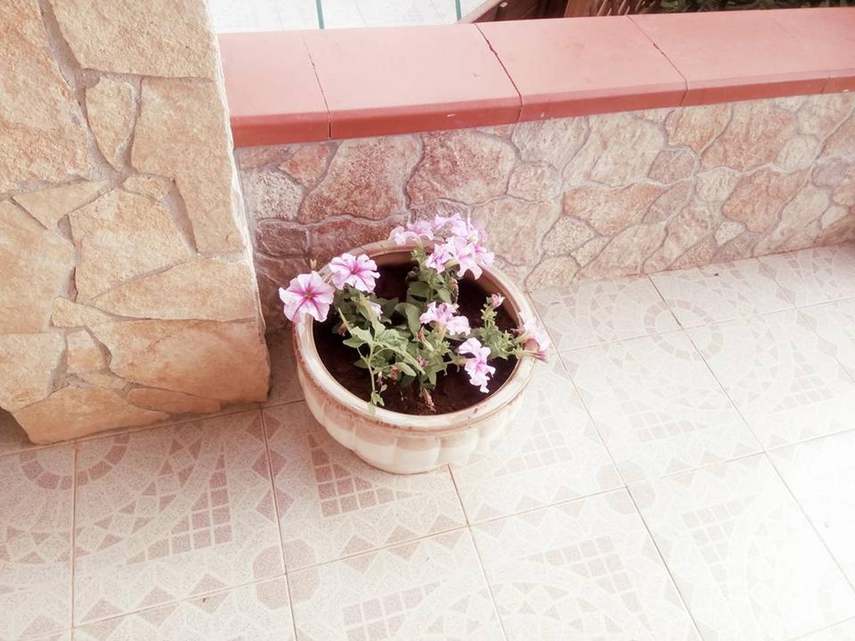 Villa Grazia Deluxe Lido di Noto Exteriör bild